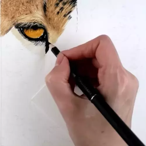 Colored Pencil Tutorials how to Draw